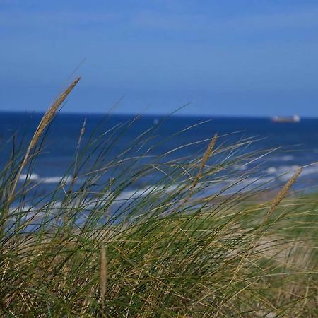 De Blaauboer, Vakantiehuisje Egmond aan Zee Exterior photo