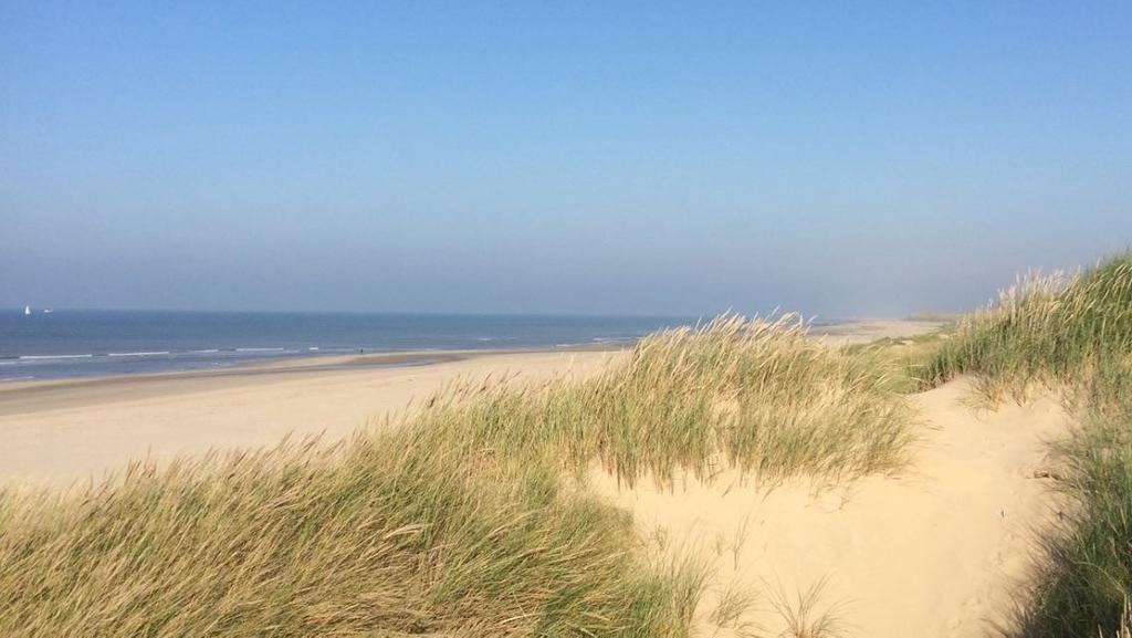 De Blaauboer, Vakantiehuisje Egmond aan Zee Room photo