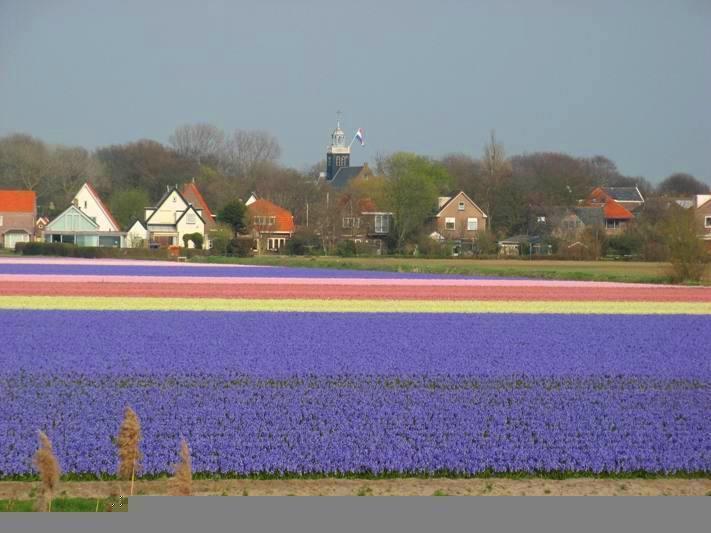 De Blaauboer, Vakantiehuisje Egmond aan Zee Room photo