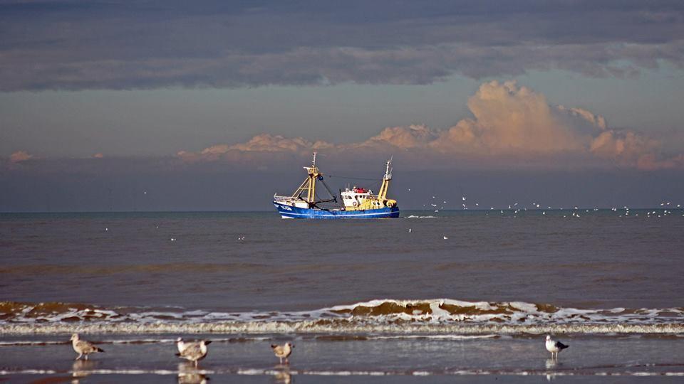 De Blaauboer, Vakantiehuisje Egmond aan Zee Exterior photo