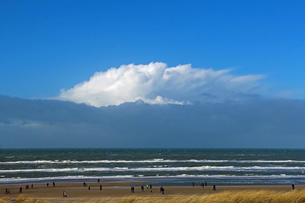 De Blaauboer, Vakantiehuisje Egmond aan Zee Exterior photo